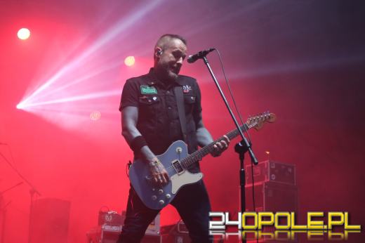 Trwa "Czochraj Bobra Fest". Zobacz zdjęcia