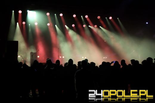 Trwa "Czochraj Bobra Fest". Zobacz zdjęcia