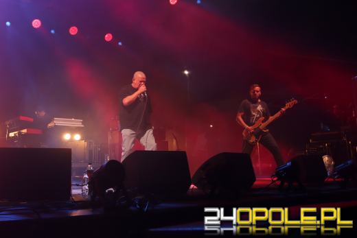 Trwa "Czochraj Bobra Fest". Zobacz zdjęcia