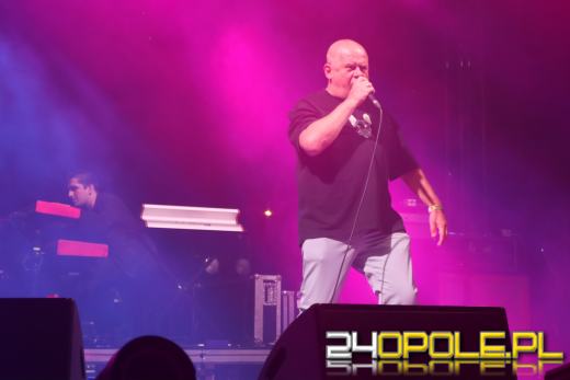 Trwa "Czochraj Bobra Fest". Zobacz zdjęcia