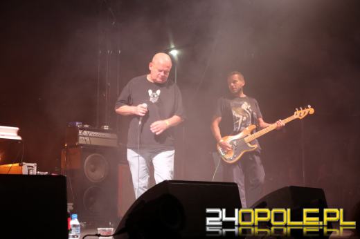 Trwa "Czochraj Bobra Fest". Zobacz zdjęcia