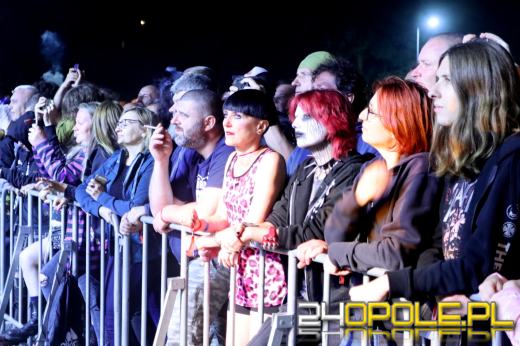 Trwa "Czochraj Bobra Fest". Zobacz zdjęcia