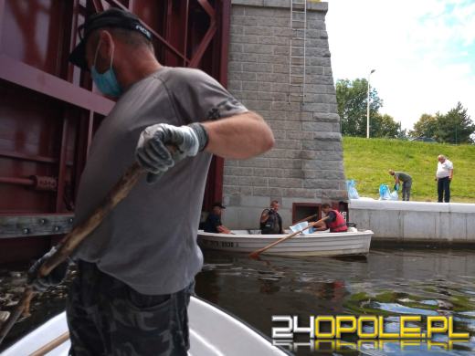 Masa śniętych ryb w powiecie kędzierzyńsko-kozielskim. Wyłowiono ich ponad tonę