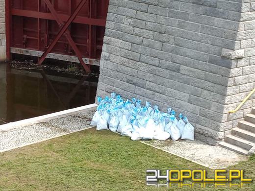 Masa śniętych ryb w powiecie kędzierzyńsko-kozielskim. Wyłowiono ich ponad tonę