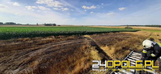 Pożar zboża i poparzony żniwiarz w Starym Ujeździe 