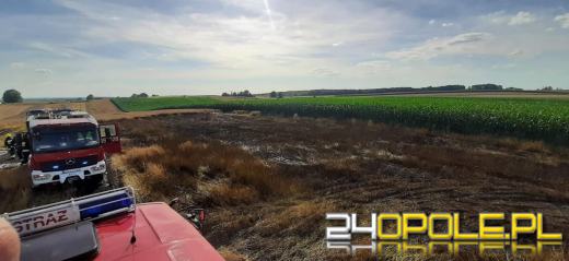 Pożar zboża i poparzony żniwiarz w Starym Ujeździe 