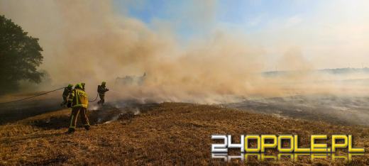 Strażacy codziennie gaszą pożary zbóż. Nie pomaga w tym upał i wiatr