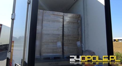 Transport lodów zatrzymany przez WITD. Stwierdzono nieprawidłowości