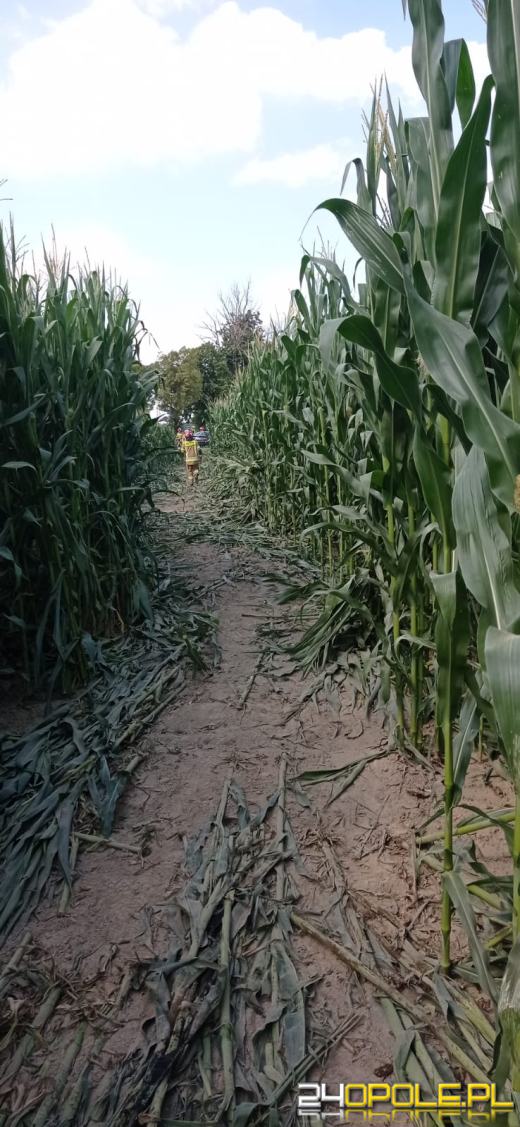 Skosił osobówką kukurydzę. Nieudane wyprzedzanie w gminie Reńska Wieś