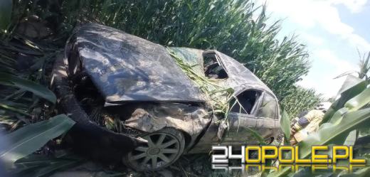 Skosił osobówką kukurydzę. Nieudane wyprzedzanie w gminie Reńska Wieś