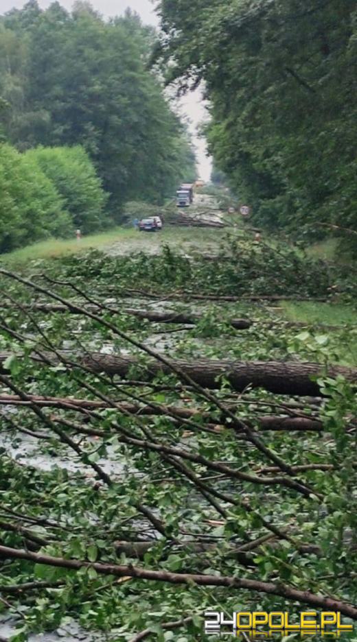 Strażacy podsumowali interwencje pogodowe z soboty