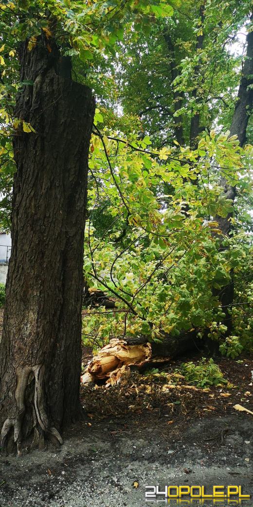 Strażacy podsumowali interwencje pogodowe z soboty