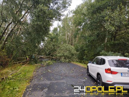 Strażacy podsumowali interwencje pogodowe z soboty