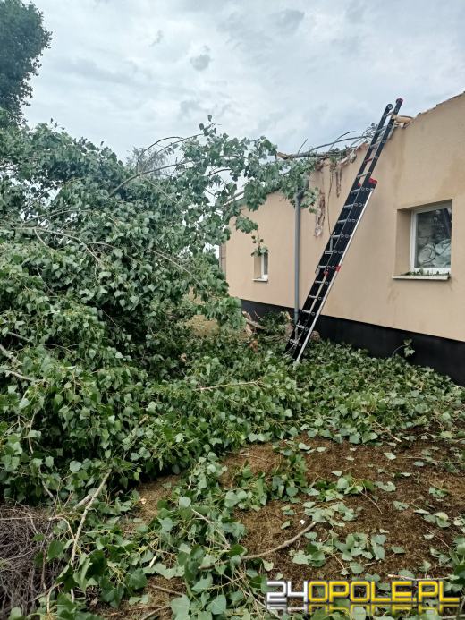Strażacy podsumowali interwencje pogodowe z soboty