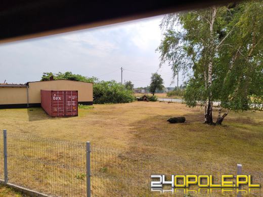 Strażacy podsumowali interwencje pogodowe z soboty