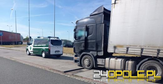 Wzmożone kontrole WITD. Posypały się mandaty