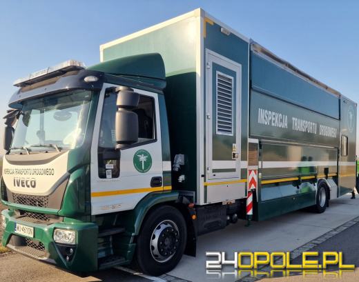 Wzmożone kontrole WITD. Posypały się mandaty