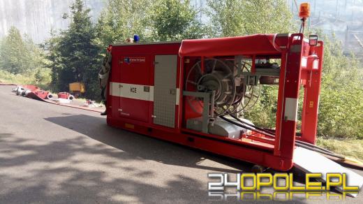 Polscy strażacy pomagają gasić pożar w czeskim parku narodowym