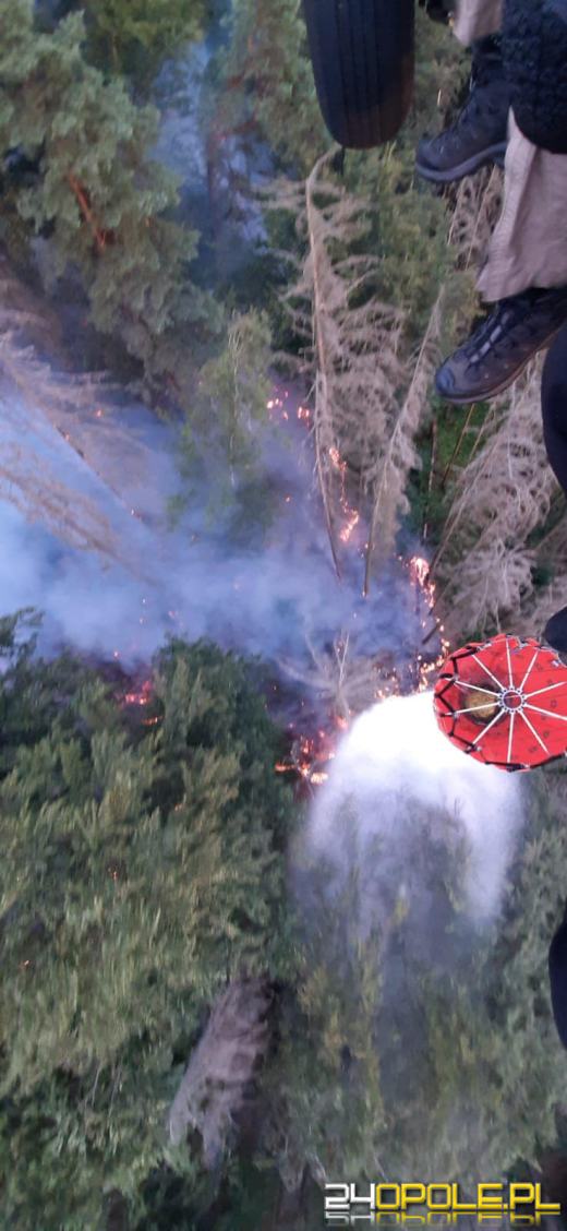 Polscy strażacy pomagają gasić pożar w czeskim parku narodowym