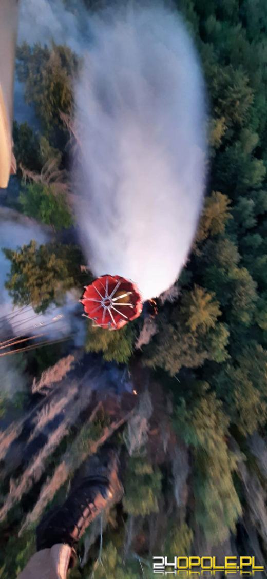 Polscy strażacy pomagają gasić pożar w czeskim parku narodowym