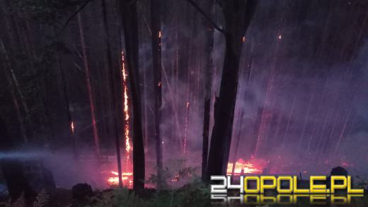 Polscy strażacy pomagają gasić pożar w czeskim parku narodowym