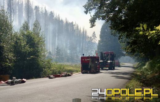 Polscy strażacy pomagają gasić pożar w czeskim parku narodowym