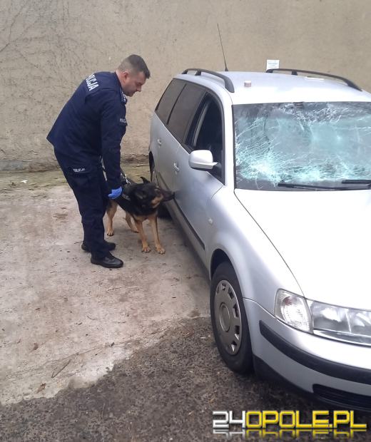 11 kilogramów narkotyków mogło trafić na czarny rynek