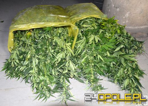 11 kilogramów narkotyków mogło trafić na czarny rynek