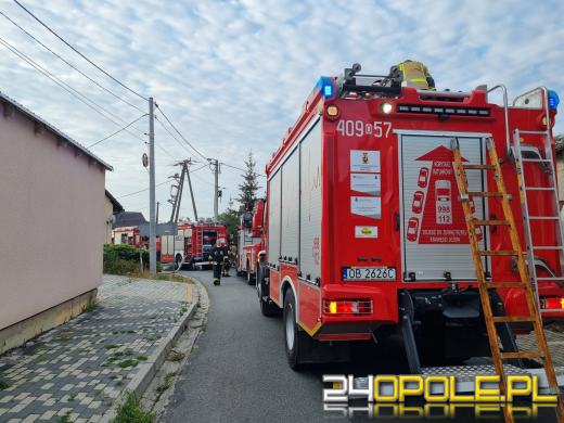 Strażacy gasili pożar pustostanu. Interwencja w Lubszy