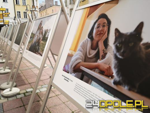 Wystawa "Twarze Ukrainy" już na opolskim Rynku