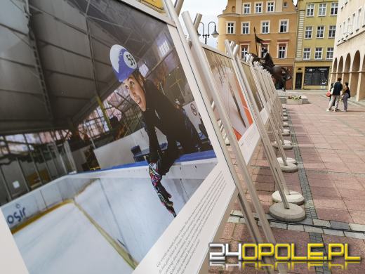 Wystawa "Twarze Ukrainy" już na opolskim Rynku