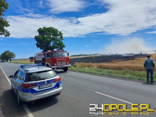 Wypalanie traw szkodzi środowisku i jest prawnie zabronione