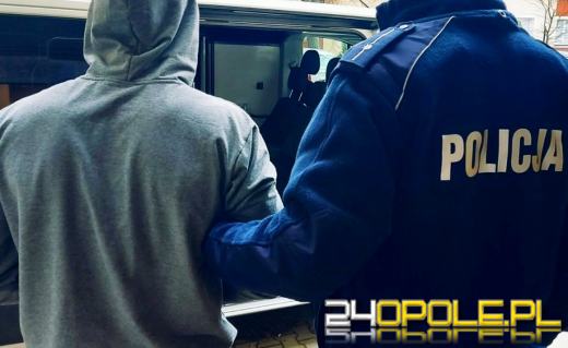 Podejrzany o kradzież elektronarzędzi ustalony jeszcze tego samego dnia