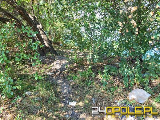 Plażowicze zamieniają Kąpielisko Bolko w śmietnik