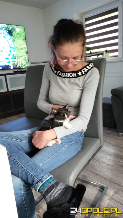 Dziś świętują wszystkie koty!