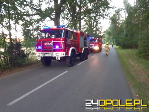 Zderzenie pojazdów w Grodźcu