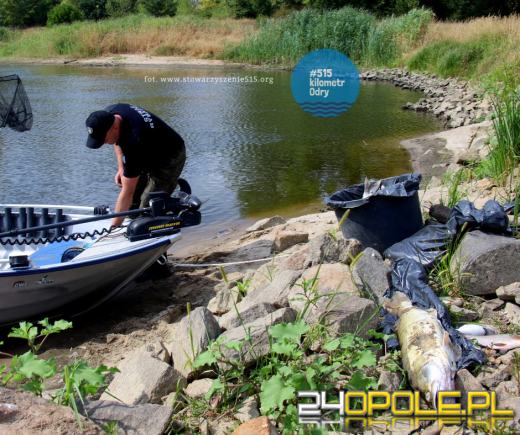 To KONIEC RZEKI ODRY! Ryby krwawią i zdychają na naszych oczach