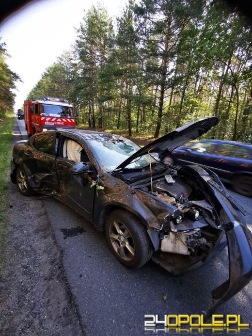 Niebezpiecznie na drogach. Kierowca osobówki wjechał w drzewo w ciągu DW 423