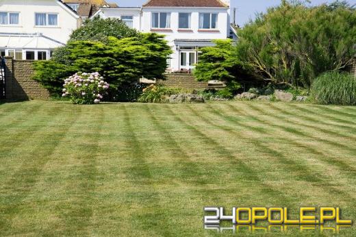 Najlepsza kosiarka spalinowa - jaką kosiarkę kupić?