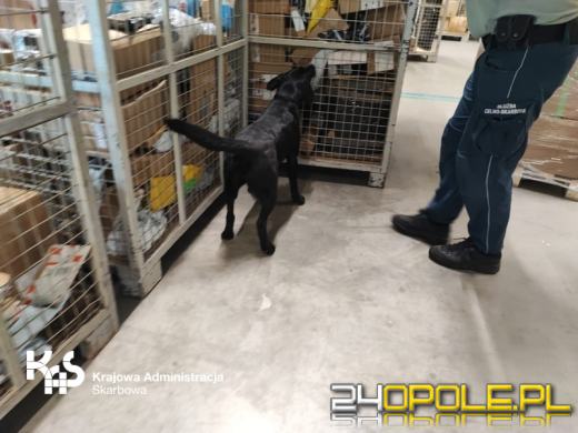 Nielegalny tytoń w przesyłkach kurierskich