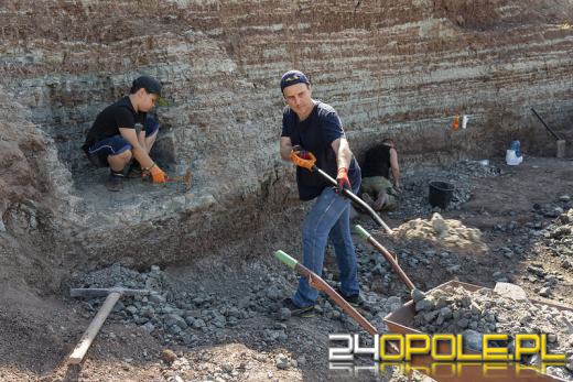 Wakacje z wykopaliskami, czyli obozy paleontologiczne w Krasiejowie