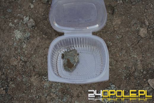 Wakacje z wykopaliskami, czyli obozy paleontologiczne w Krasiejowie