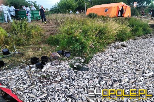 W zwalczanie skutków katastrofy ekologicznej na Odrze zaangażowanych jest 450 strażaków