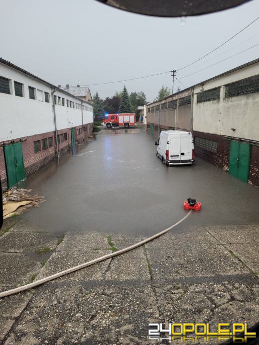 Ponad 350 interwencji straży pożarnej w niedziele
