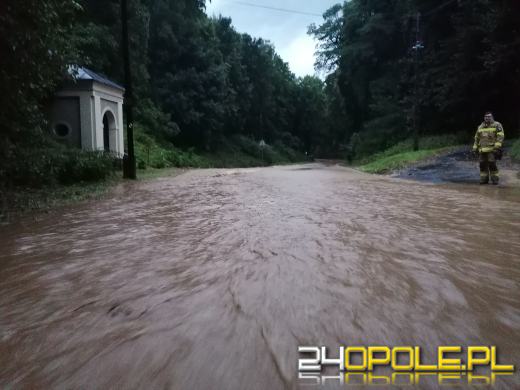 Ponad 350 interwencji straży pożarnej w niedziele