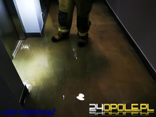 Ponad 350 interwencji straży pożarnej w niedziele