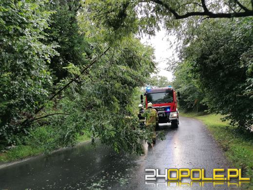 Ponad 350 interwencji straży pożarnej w niedziele