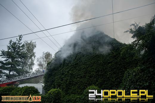 Pożar w zakładzie stolarskim w Bogdańczowicach