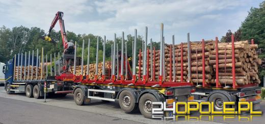Przewóz drewna z nieprawidłowościami