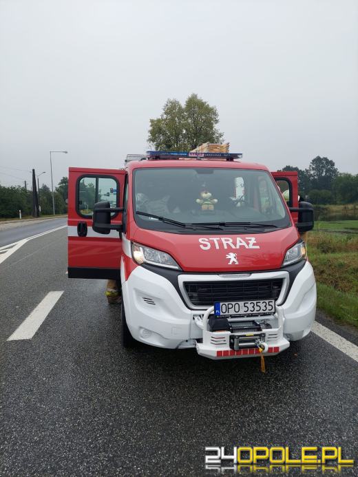 Utrudnienia na DK46 w Dąbrowie